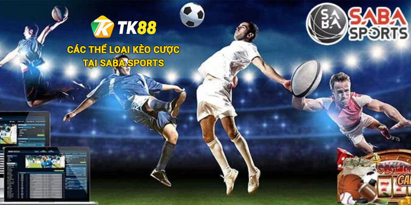 Các thể loại kèo cược tại Saba Sports Tk88